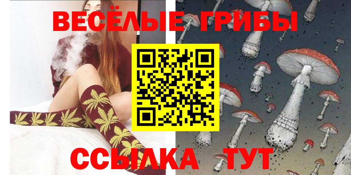 Клинцы  Галлюциногенные грибы Cubensis  Вход с VPN 